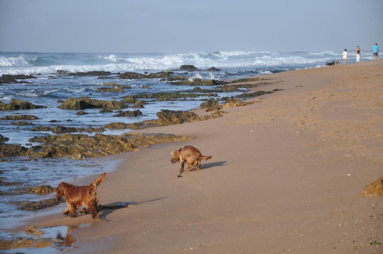 All Seasons B&B Durban Extérieur photo