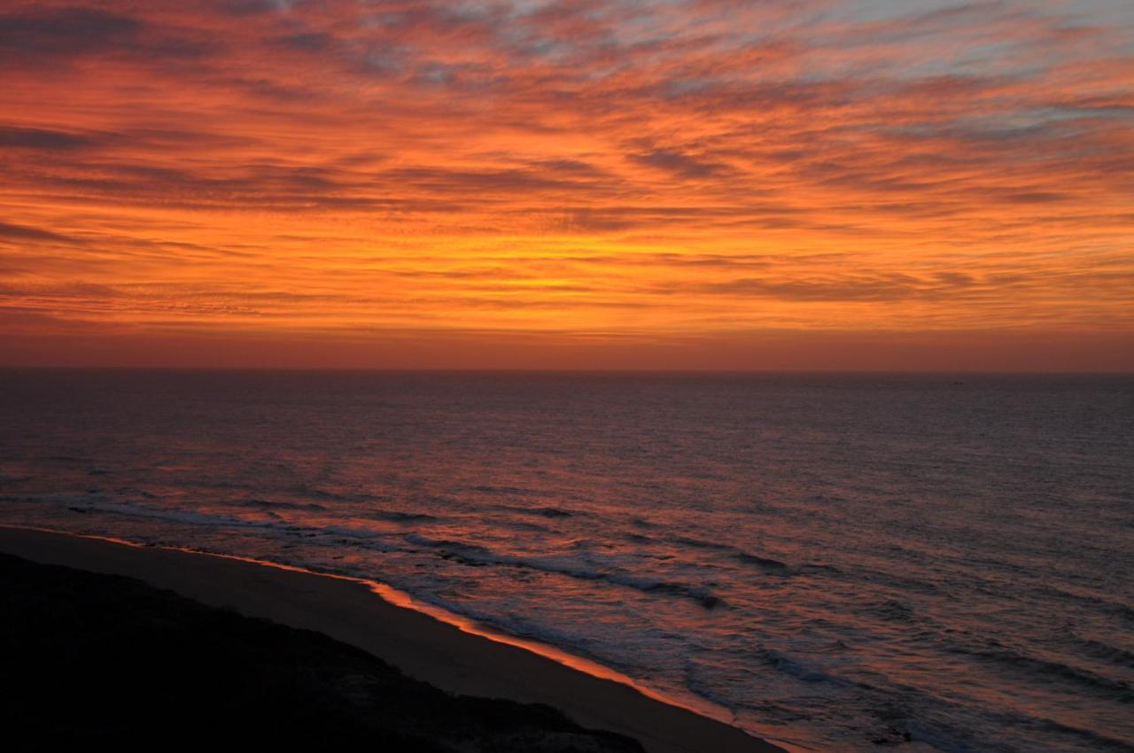 All Seasons B&B Durban Extérieur photo